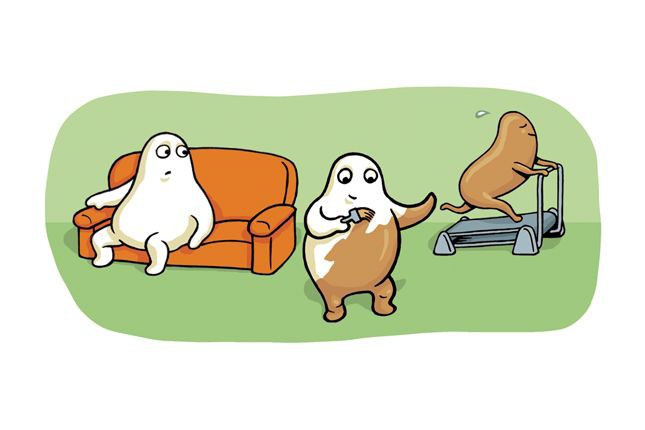 Cơ thể con người c&oacute; loại chất b&eacute;o k&igrave; lạ c&oacute; thể gi&uacute;p giảm c&acirc;n: L&agrave;m sao để tăng lượng chất b&eacute;o n&agrave;y l&ecirc;n? - Ảnh 1.