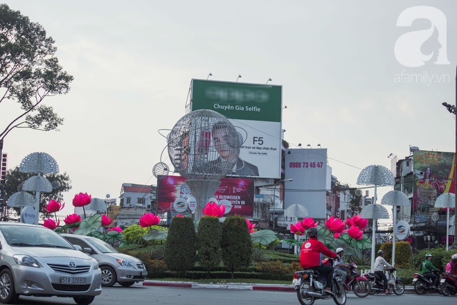 Tết chưa kịp đến mà mai vàng đã nở rộ khắp Sài Gòn thế này bảo sao lòng người không xao xuyến - Ảnh 1.