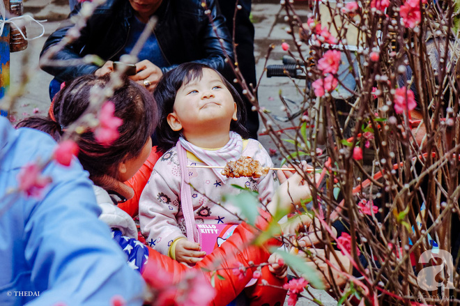 Có một Hà Nội yên ả đến lạ, đẹp dịu dàng trong ngày cuối năm - Ảnh 17.