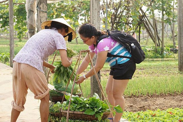 Làng rau Trà Quế - điểm đến cũ mà nhiều bất ngờ, nhất định nên ghé khi đến Hội An - Ảnh 8.