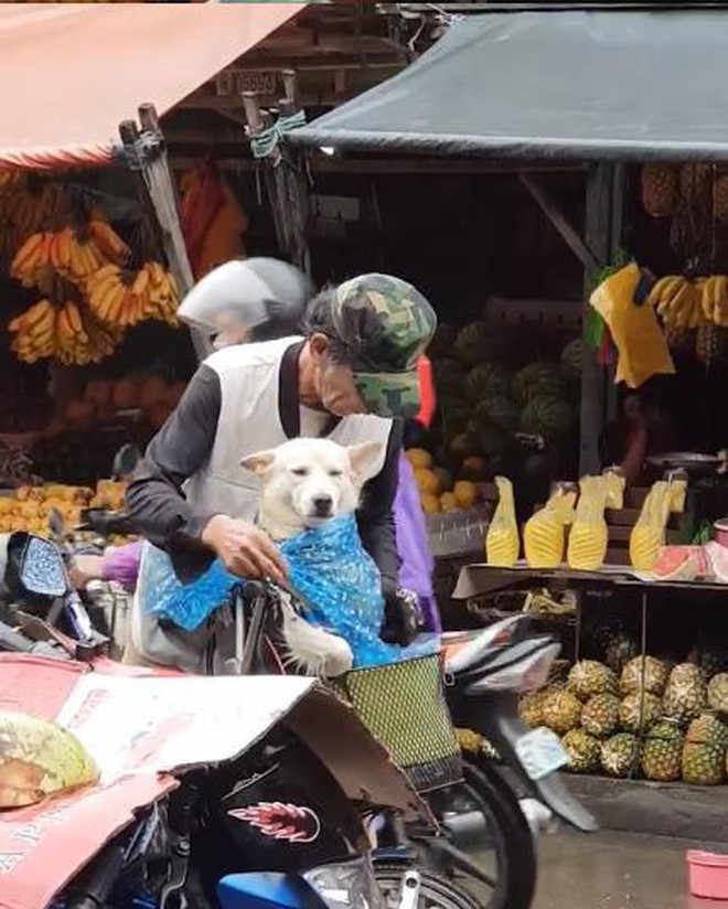  Kệ mưa ướt, cụ ông vẫn cho cún cưng đội mũ trước: Nhìn thương quá đi mất! - Ảnh 1.