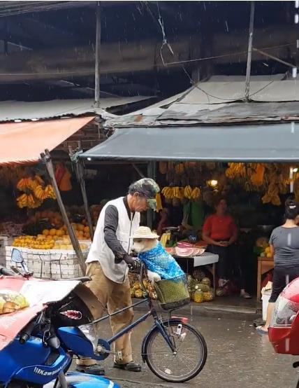  Kệ mưa ướt, cụ ông vẫn cho cún cưng đội mũ trước: Nhìn thương quá đi mất! - Ảnh 3.