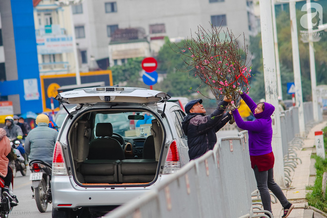 Hoa đào như những áng mây xa, nhuộm hồng từng khoảng trời Hà Nội - Ảnh 9.