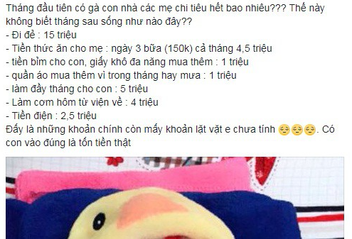 Mới sinh được 1 tháng, con bú mẹ hoàn toàn, mẹ bỉm sữa vẫn kêu trời vì chi tiêu hết veo 33 triệu - Ảnh 1.