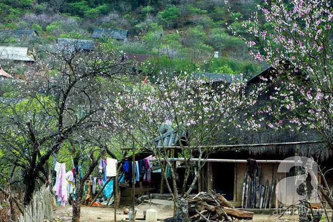 5 điểm du lịch đẹp ngất ngây, đáng giá từng xu cho những ngày tháng Giêng mải miết ăn chơi - Ảnh 10.