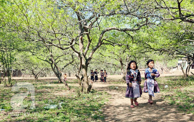 5 điểm du lịch đẹp ngất ngây, đáng giá từng xu cho những ngày tháng Giêng mải miết ăn chơi - Ảnh 11.