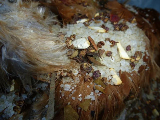 Chuột bao tử ăn sống, gà khô để nguyên lông là 2 trong 5 món ăn kỳ quái nhất Trung Quốc, người phàm ăn nhất cũng ái ngại - Ảnh 13.