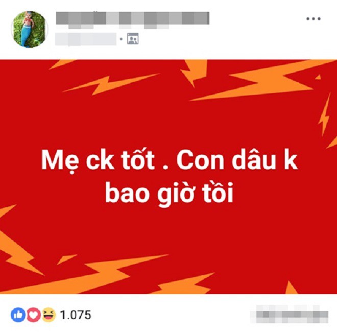 Cô gái hùng hồn đưa triết lý: “Mẹ chồng tốt, con dâu không bao giờ tồi” khiến hội chị em tranh cãi nảy lửa - Ảnh 2.