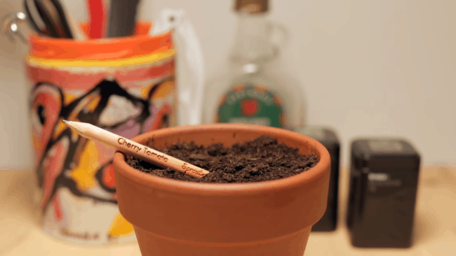 Bút chì hết vùi xuống đất ẩm mọc thành cây - sự kỳ diệu của công nghệ khiến người yêu làm vườn mê tít - Ảnh 3.