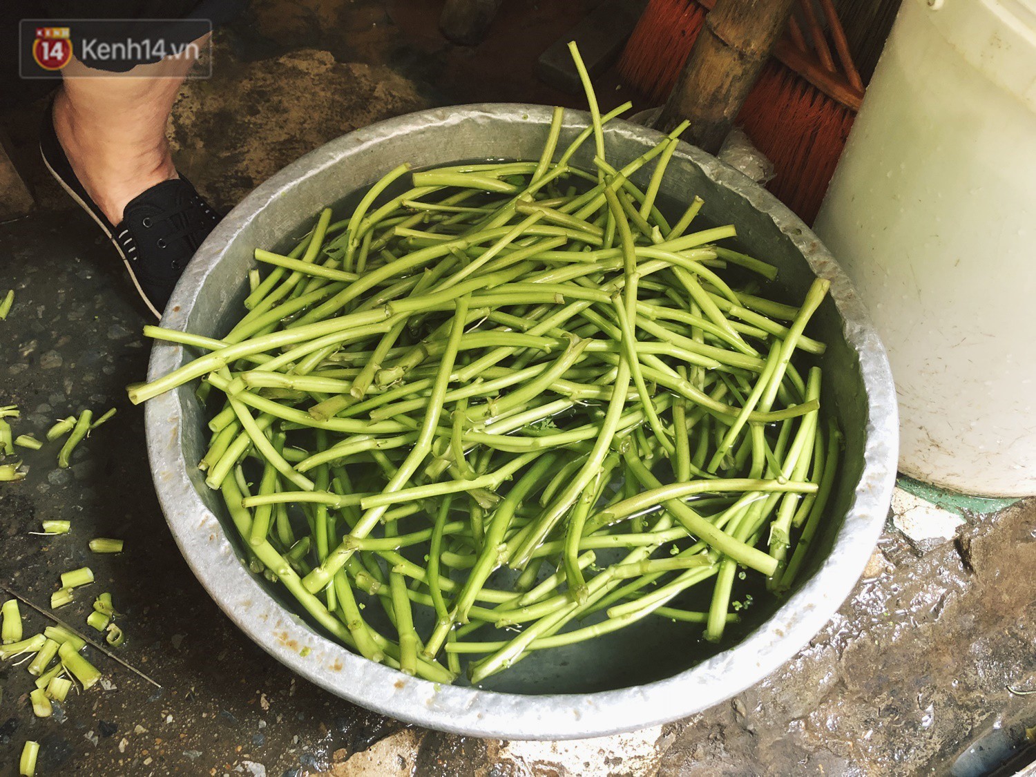 Quán bún ốc cô Thêm nổi tiếng Hà Nội bị tố pha nước dùng mất vệ sinh, chủ quán lên tiếng: 4 đời nhà tôi bán chả làm sao... - Ảnh 8. Quán bún ốc cô Thêm nổi tiếng Hà Nội bị tố pha nước dùng mất vệ sinh, chủ quán lên tiếng: 4 đời nhà tôi bán chả làm sao... - Ảnh 8.