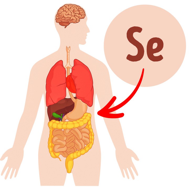 Những việc cần làm ngay từ bây giờ mới tránh được sự già nua, bệnh tật ở tuổi 30-40 - Ảnh 4. Những việc cần làm ngay từ bây giờ mới tránh được sự già nua, bệnh tật ở tuổi 30-40 - Ảnh 4.