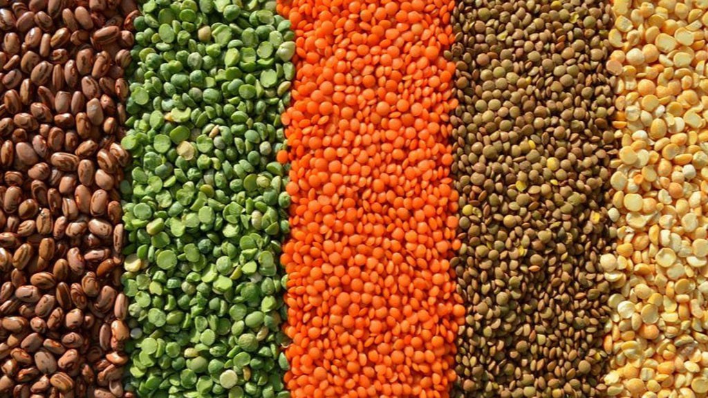 Phòng ngừa bệnh đái tháo đường nhờ những thực phẩm giúp giảm lượng đường một cách tự nhiên - Ảnh 3. Phòng ngừa bệnh đái tháo đường nhờ những thực phẩm giúp giảm lượng đường một cách tự nhiên - Ảnh 3.