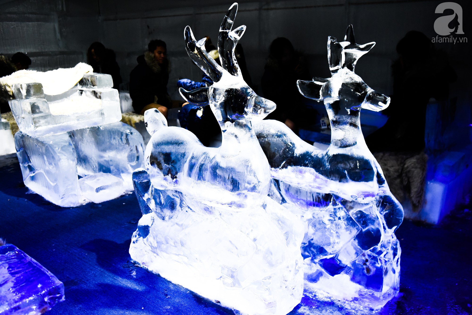 Cùng nhau đóng băng tại quán cafe âm 10 độ C giữa lòng Hà Nội - Ảnh 7. Cùng nhau đóng băng tại quán cafe âm 10 độ C giữa lòng Hà Nội - Ảnh 7.