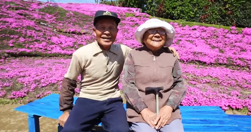 Người đàn ông Nhật Bản dành trọn tình yêu để trồng đồi hoa trước nhà suốt 4 năm để tặng vợ mù lòa - Ảnh 9.