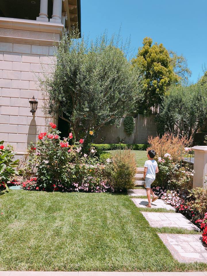 H&igrave;nh ảnh Subeo cao lớn v&agrave; chững chạc dưới g&oacute;c m&aacute;y của mẹ Hồ Ngọc H&agrave; - Ảnh 2.