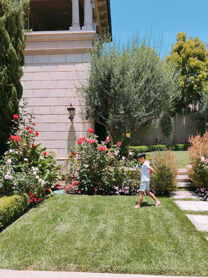 H&igrave;nh ảnh Subeo cao lớn v&agrave; chững chạc dưới g&oacute;c m&aacute;y của mẹ Hồ Ngọc H&agrave; - Ảnh 3.