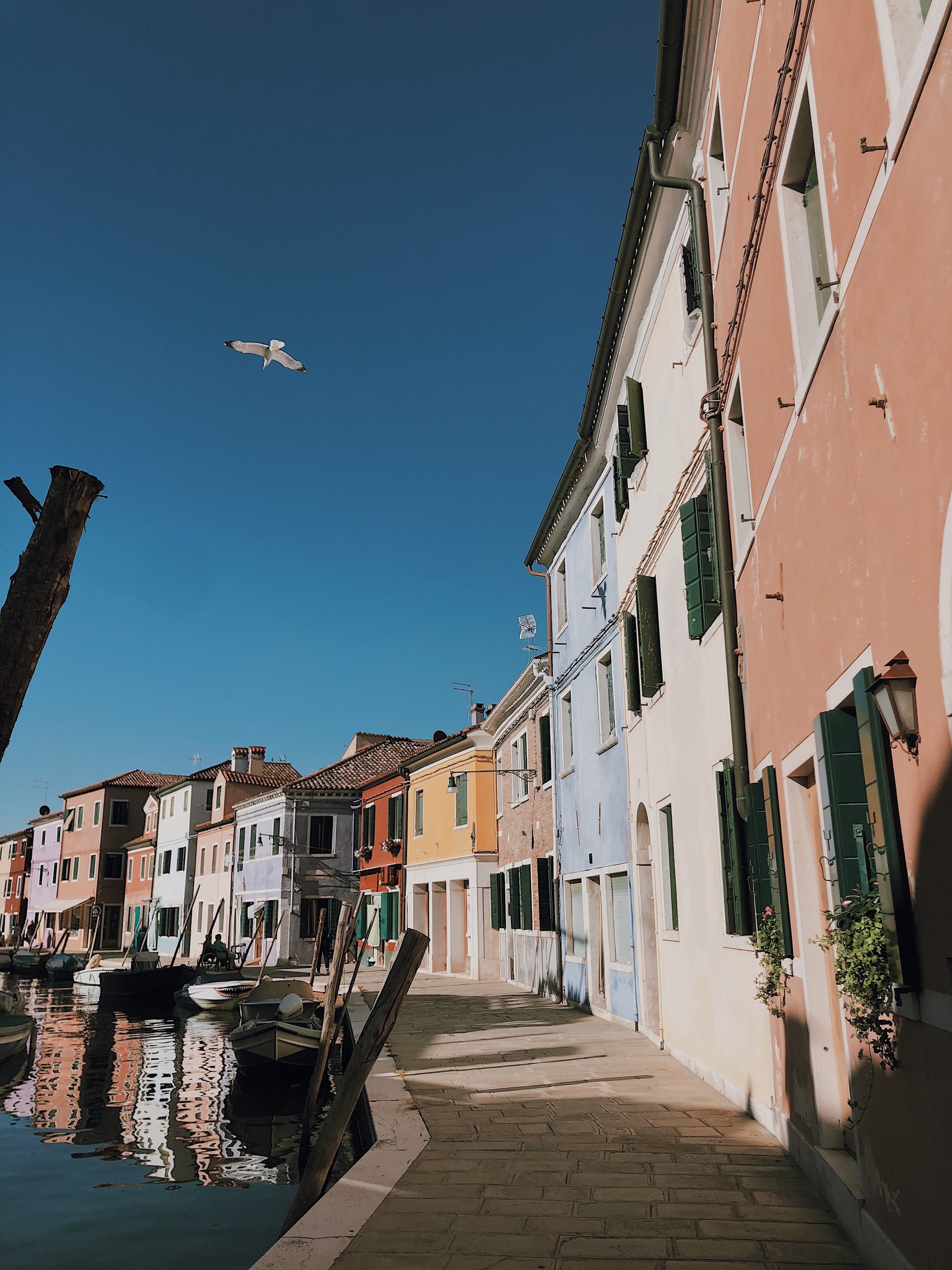 Burano v&agrave; Murano - hai h&ograve;n đảo kỳ diệu phải gh&eacute; khi đến Venice - Ảnh 8.
