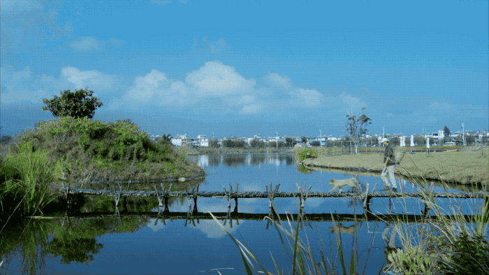 Ông bố trẻ vì gia đình, bỏ cuộc sống phiêu du về quê thuê trang trại 166 nghìn m² trồng rau, thả cá - Ảnh 6.