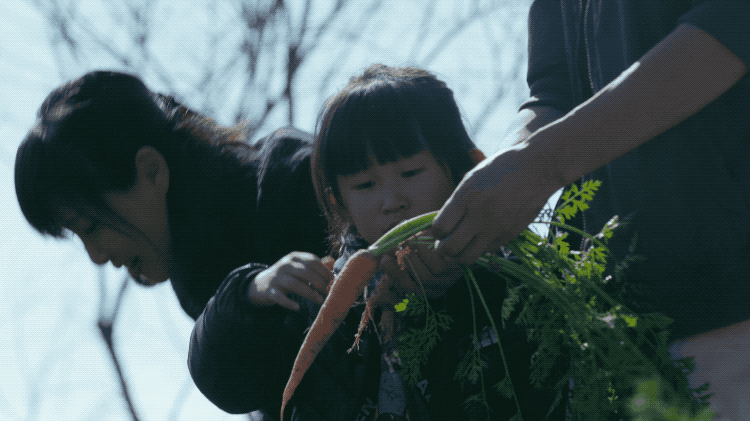 Ông bố trẻ vì gia đình, bỏ cuộc sống phiêu du về quê thuê trang trại 166 nghìn m² trồng rau, thả cá - Ảnh 3.