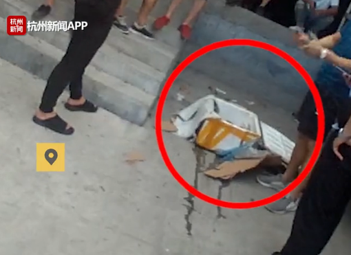 Đặt mua thực phẩm chức năng tr&ecirc;n mạng, người phụ nữ nhận được một con c&aacute; sấu ship đến tận cửa nh&agrave; - Ảnh 1.