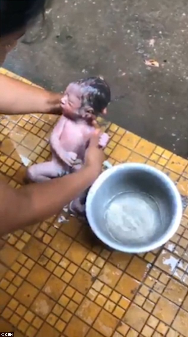 Ph&aacute;t hiện điều kỳ lạ dưới cống tho&aacute;t nước, người phụ nữ kh&ocirc;ng ngờ cứu được một mạng người - Ảnh 3.