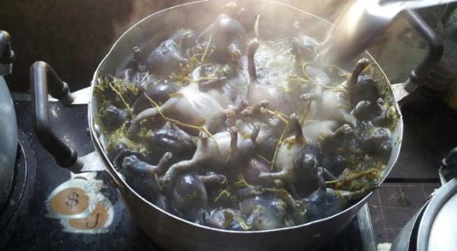 Ếch òn nguyên con - món ăn khiến nhiều người khiếp vía khi vừa nhìn thấy này lại là đặc sản ở Việt Nam và cả Thái Lan - Ảnh 6. Ếch òn nguyên con - món ăn khiến nhiều người khiếp vía khi vừa nhìn thấy này lại là đặc sản ở Việt Nam và cả Thái Lan - Ảnh 6.