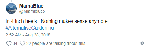 Tr&ocirc;ng rất qu&yacute; ph&aacute;i nhưng b&agrave; Melania Trump diện ch&acirc;n v&aacute;y bồng x&ograve;e rồi đi gi&agrave;y 10 ph&acirc;n để l&agrave;m vườn thế n&agrave;y th&igrave; thật kh&oacute; hiểu  - Ảnh 5.