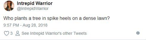 Tr&ocirc;ng rất qu&yacute; ph&aacute;i nhưng b&agrave; Melania Trump diện ch&acirc;n v&aacute;y bồng x&ograve;e rồi đi gi&agrave;y 10 ph&acirc;n để l&agrave;m vườn thế n&agrave;y th&igrave; thật kh&oacute; hiểu  - Ảnh 7.