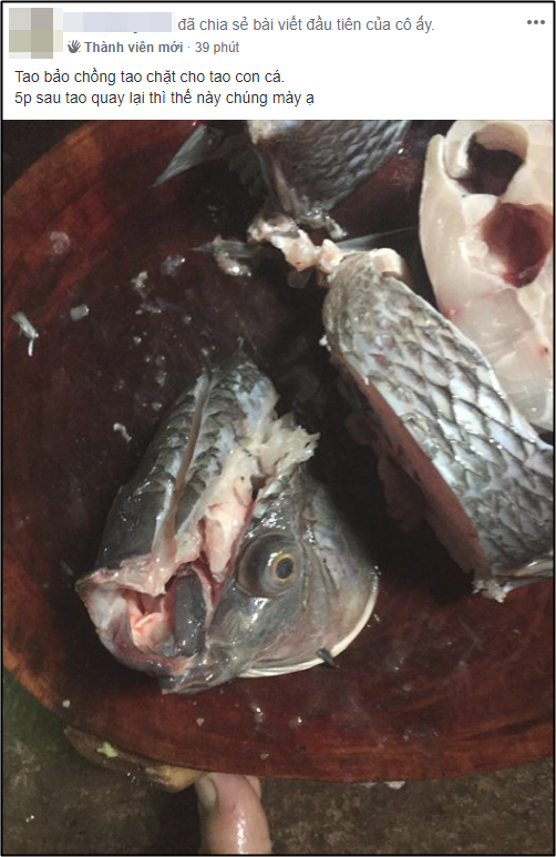 Nhờ chồng chặt hộ cá, 5’ quay lại vợ nhận món mắt trừng gửi mộng qua biên giới, dân tình được phen cười ngặt nghẽo - Ảnh 1. Nhờ chồng chặt hộ cá, 5’ quay lại vợ nhận món mắt trừng gửi mộng qua biên giới, dân tình được phen cười ngặt nghẽo - Ảnh 1.