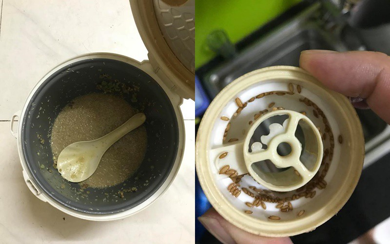 Qua nhà người yêu chơi, chàng trai suýt ngất vì nồi cơm bốc mùi, giòi bò lúc nhúc và sự thật kinh hoàng phía sau - Ảnh 2. Qua nhà người yêu chơi, chàng trai suýt ngất vì nồi cơm bốc mùi, giòi bò lúc nhúc và sự thật kinh hoàng phía sau - Ảnh 2.