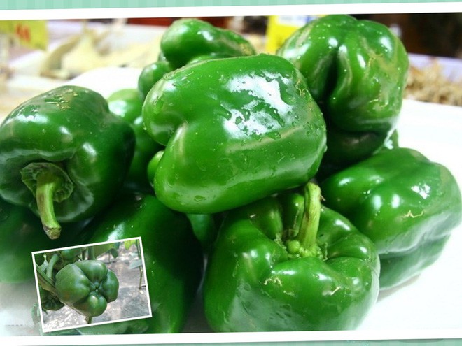 Trái cây rẻ tiền trong vườn Việt được Đông y coi là quả sát thủ tiêu diệt tế bào ung thư - Ảnh 4. Trái cây rẻ tiền trong vườn Việt được Đông y coi là quả sát thủ tiêu diệt tế bào ung thư - Ảnh 4.