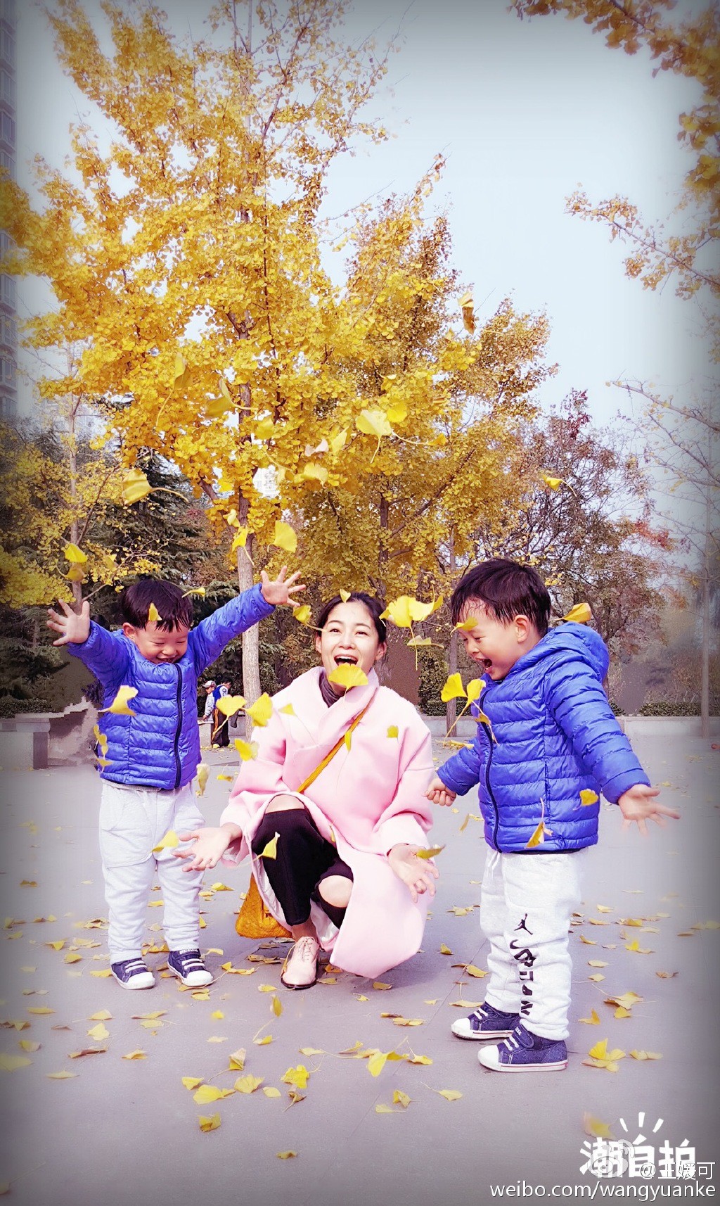 49e906a8jw1ey5g4px4ysj20vv1hch7b