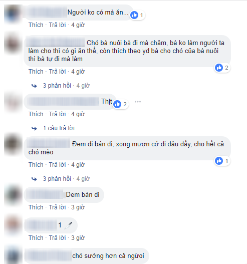 N&agrave;ng d&acirc;u uất ức v&igrave; mẹ chồng trọng ch&oacute; hơn người: bắt kho 3 nồi c&aacute; cho ch&oacute;, ch&aacute;u mới sinh kh&ocirc;ng hỏi chỉ hỏi h&ocirc;m nay ch&oacute; ăn g&igrave; - Ảnh 5.