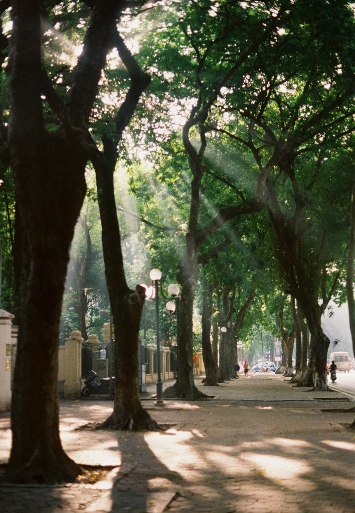 Có một Hà Nội rất khác những ngày này, bình yên và đẹp mơ màng trong nắng mùa thu - Ảnh 7. Có một Hà Nội rất khác những ngày này, bình yên và đẹp mơ màng trong nắng mùa thu - Ảnh 7.