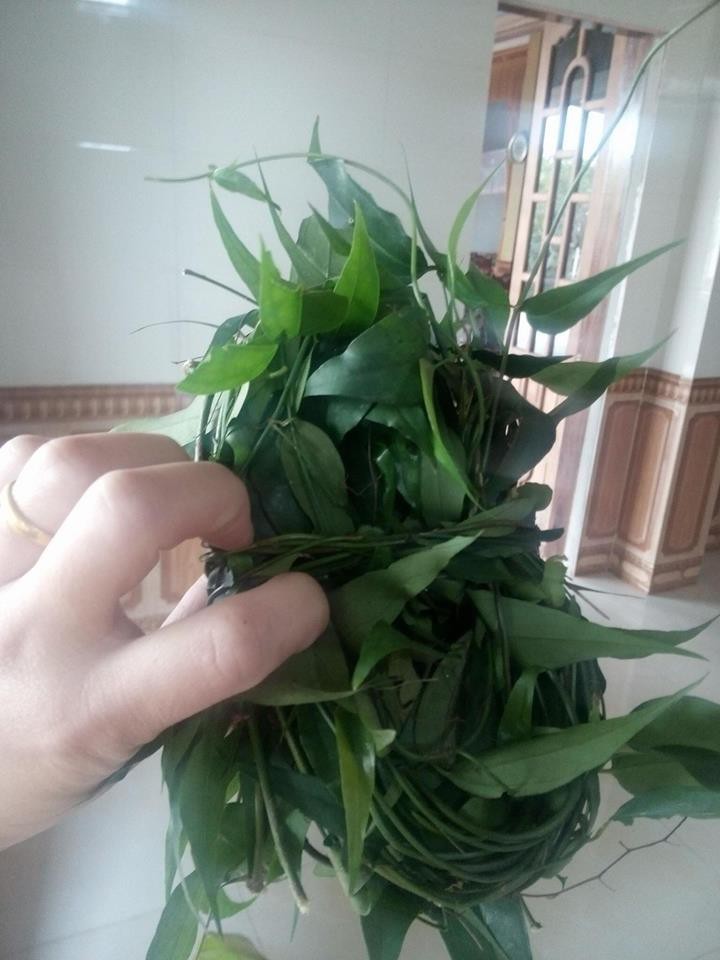 Mua được ít chè vằng lợi sữa, chưa kịp dùng đã bị mẹ chồng lấy cho con gái, nàng dâu bức xúc thì bị mắng thêm - Ảnh 2. Mua được ít chè vằng lợi sữa, chưa kịp dùng đã bị mẹ chồng lấy cho con gái, nàng dâu bức xúc thì bị mắng thêm - Ảnh 2.