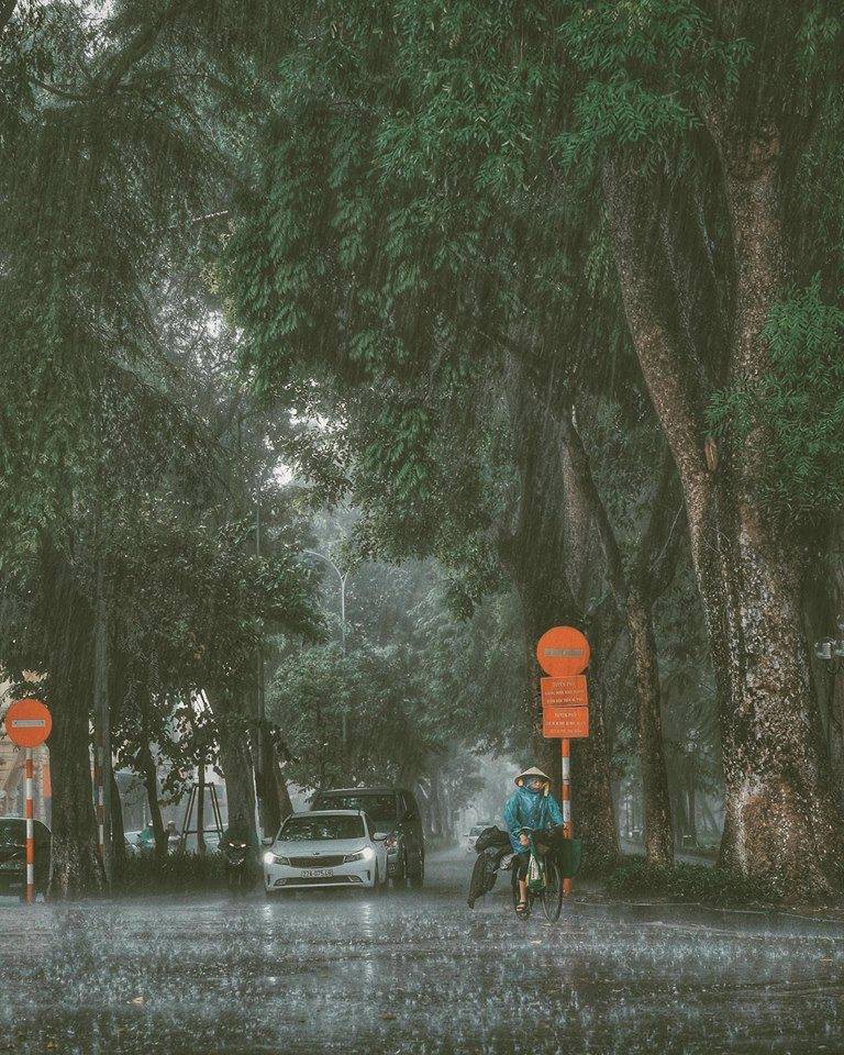 Đẹp nao lòng Hà Nội những ngày có mưa thu - Ảnh 4. Đẹp nao lòng Hà Nội những ngày có mưa thu - Ảnh 4.
