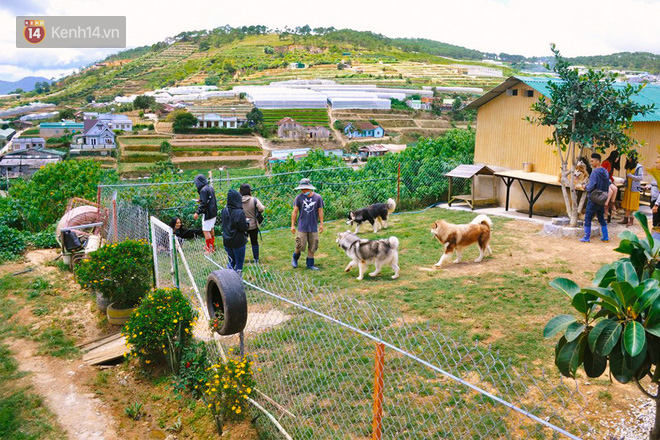 Rời bỏ phố thị, cô gái Sài Gòn lên Đà Lạt cùng bạn trai xây dựng khu vườn giữa núi rừng hoang vu dành cho thú cưng - Ảnh 1. Rời bỏ phố thị, cô gái Sài Gòn lên Đà Lạt cùng bạn trai xây dựng khu vườn giữa núi rừng hoang vu dành cho thú cưng - Ảnh 1.