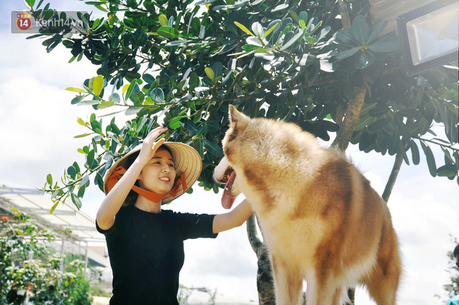 Rời bỏ phố thị, cô gái Sài Gòn lên Đà Lạt cùng bạn trai xây dựng khu vườn giữa núi rừng hoang vu dành cho thú cưng - Ảnh 4. Rời bỏ phố thị, cô gái Sài Gòn lên Đà Lạt cùng bạn trai xây dựng khu vườn giữa núi rừng hoang vu dành cho thú cưng - Ảnh 4.