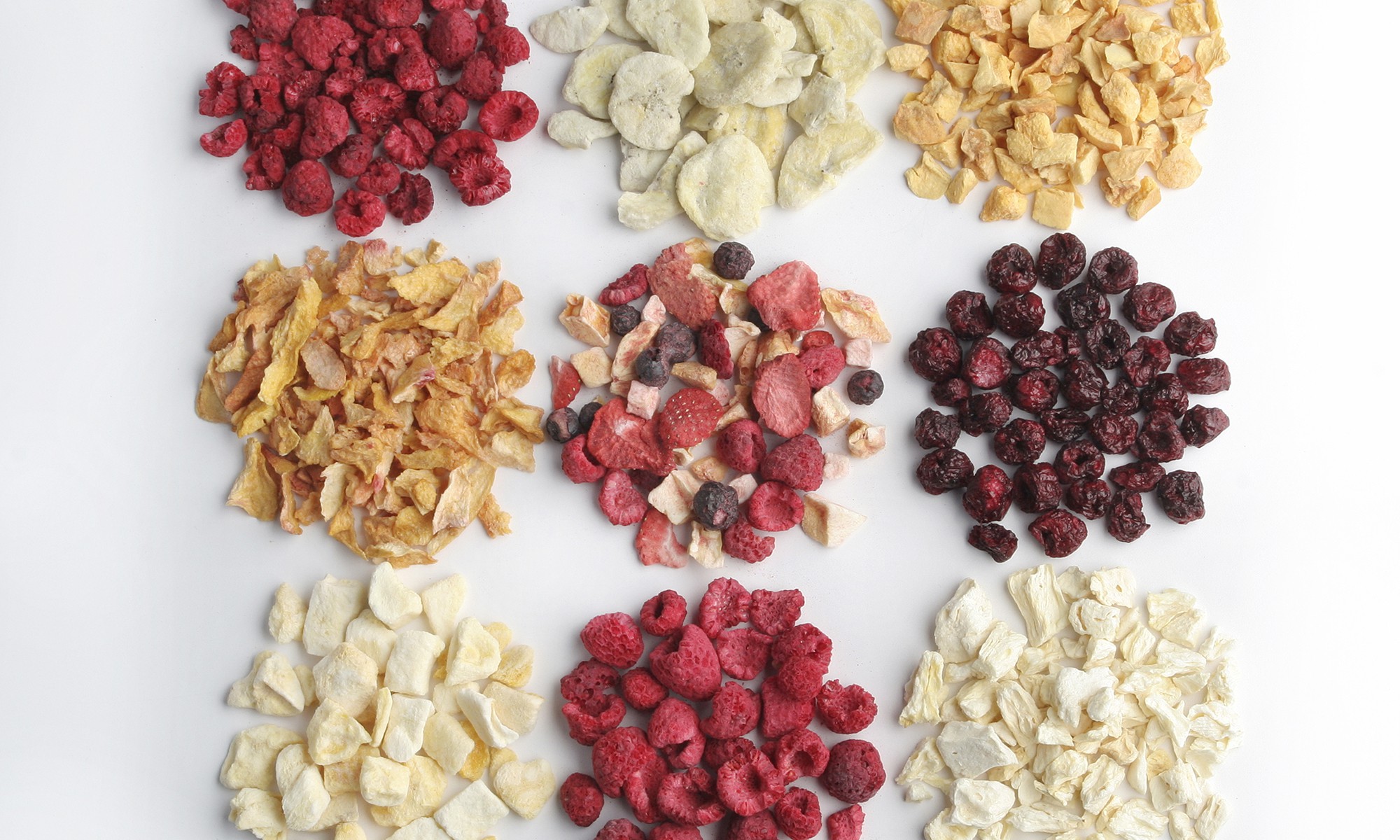 Chuyên gia lý giải sự thật về hoa đỗ quyên ngủ đông mà chị em đang sốt xình xịch mua để sắm Tết - Ảnh 4. Chuyên gia lý giải sự thật về hoa đỗ quyên ngủ đông mà chị em đang sốt xình xịch mua để sắm Tết - Ảnh 4.