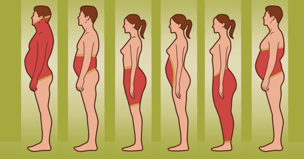 Muốn giảm béo nhanh thì phải biết áp dụng biện pháp giảm mỡ thừa theo từng loại hình cơ thể như này - Ảnh 1. Muốn giảm béo nhanh thì phải biết áp dụng biện pháp giảm mỡ thừa theo từng loại hình cơ thể như này - Ảnh 1.