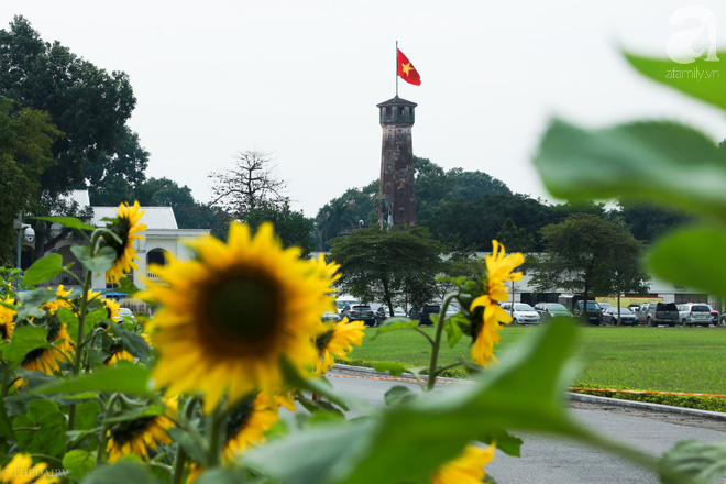 Những ngày đông giá này, đã có khu vườn ngàn mặt trời nhỏ cho chị em chụp ảnh làm vui - Ảnh 2.