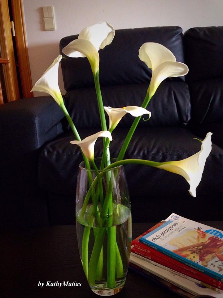 Không gian sống đẹp kiêu sa khi được trang trí với loài hoa rum đỏng đảnh - Ảnh 1. Không gian sống đẹp kiêu sa khi được trang trí với loài hoa rum đỏng đảnh - Ảnh 1.