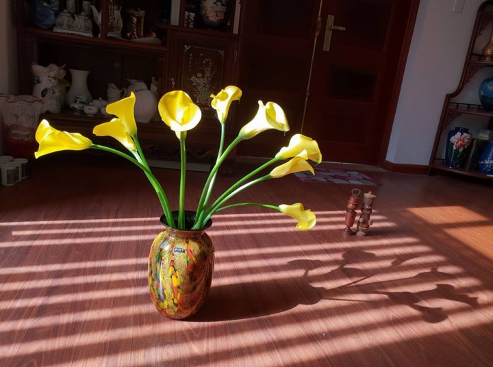 Không gian sống đẹp kiêu sa khi được trang trí với loài hoa rum đỏng đảnh - Ảnh 2. Không gian sống đẹp kiêu sa khi được trang trí với loài hoa rum đỏng đảnh - Ảnh 2.