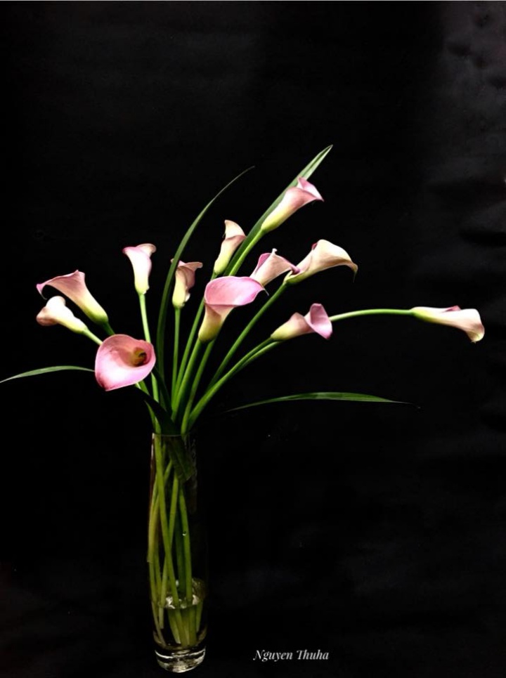 Không gian sống đẹp kiêu sa khi được trang trí với loài hoa rum đỏng đảnh - Ảnh 6. Không gian sống đẹp kiêu sa khi được trang trí với loài hoa rum đỏng đảnh - Ảnh 6.