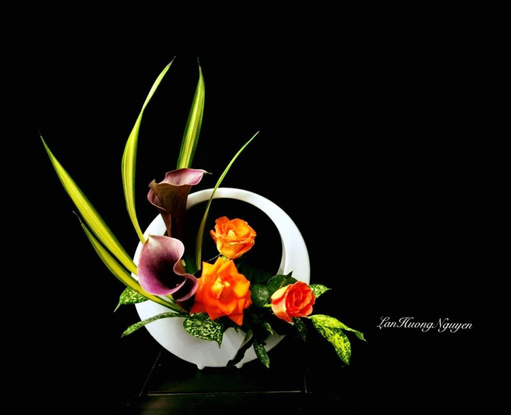 Không gian sống đẹp kiêu sa khi được trang trí với loài hoa rum đỏng đảnh - Ảnh 10. Không gian sống đẹp kiêu sa khi được trang trí với loài hoa rum đỏng đảnh - Ảnh 10.