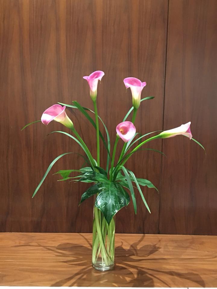 Không gian sống đẹp kiêu sa khi được trang trí với loài hoa rum đỏng đảnh - Ảnh 12. Không gian sống đẹp kiêu sa khi được trang trí với loài hoa rum đỏng đảnh - Ảnh 12.