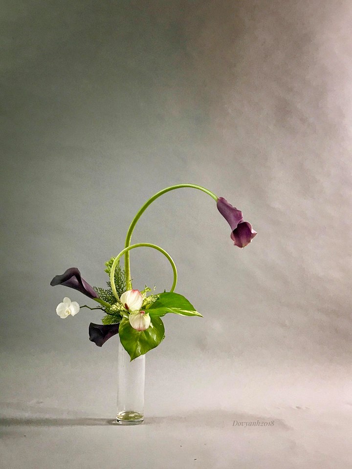 Không gian sống đẹp kiêu sa khi được trang trí với loài hoa rum đỏng đảnh - Ảnh 13. Không gian sống đẹp kiêu sa khi được trang trí với loài hoa rum đỏng đảnh - Ảnh 13.