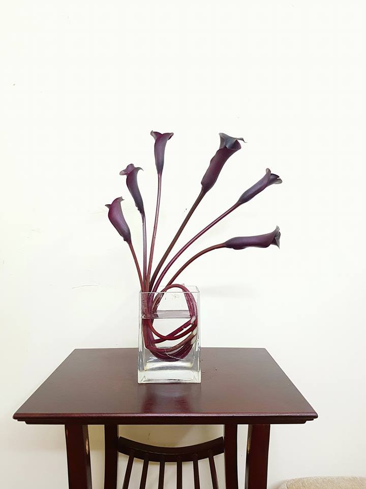 Không gian sống đẹp kiêu sa khi được trang trí với loài hoa rum đỏng đảnh - Ảnh 16. Không gian sống đẹp kiêu sa khi được trang trí với loài hoa rum đỏng đảnh - Ảnh 16.