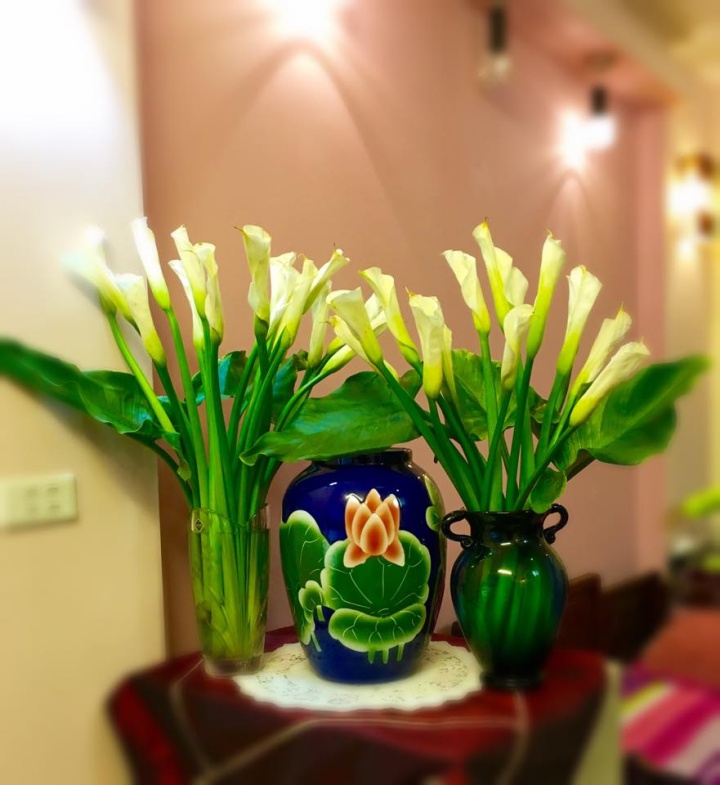 Không gian sống đẹp kiêu sa khi được trang trí với loài hoa rum đỏng đảnh - Ảnh 17. Không gian sống đẹp kiêu sa khi được trang trí với loài hoa rum đỏng đảnh - Ảnh 17.