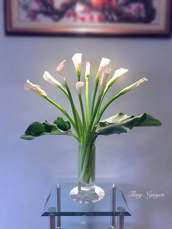 Không gian sống đẹp kiêu sa khi được trang trí với loài hoa rum đỏng đảnh - Ảnh 18. Không gian sống đẹp kiêu sa khi được trang trí với loài hoa rum đỏng đảnh - Ảnh 18.